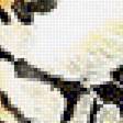 Preview of cross stitch pattern: #1883275