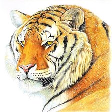 Cross stitch pattern: #1883275