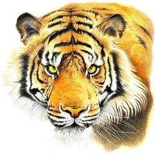 Cross stitch pattern: #1883276