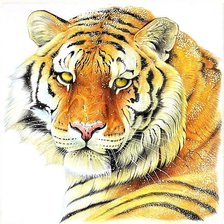 Cross stitch pattern: #1883278