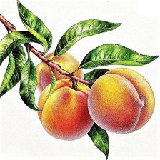 Cross stitch pattern: #1883294