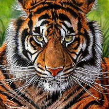 Cross stitch pattern: #1883385