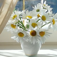 Cross stitch pattern: #1884542