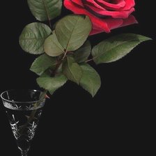 Cross stitch pattern: #1886228