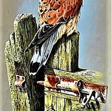 Cross stitch pattern: #1886714