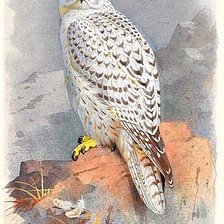 Cross stitch pattern: #1886746
