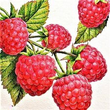 Cross stitch pattern: #1886773