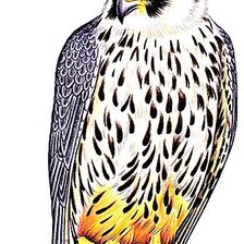 Cross stitch pattern: #1887271