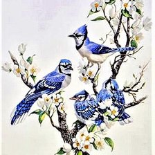 Cross stitch pattern: #1888625