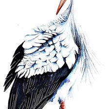 Cross stitch pattern: #1888703