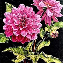 Cross stitch pattern: #1888748