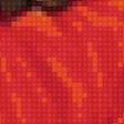 Preview of cross stitch pattern: #1888774