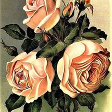 Cross stitch pattern: #1889113