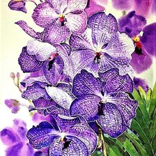 Cross stitch pattern: #1889114
