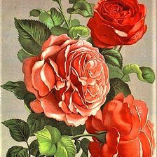 Cross stitch pattern: #1889261