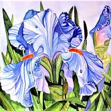 Cross stitch pattern: #1889281
