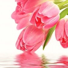 Cross stitch pattern: #1889319