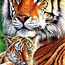 Cross stitch pattern: #1889648