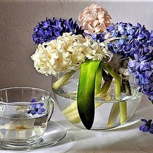Cross stitch pattern: #1889654