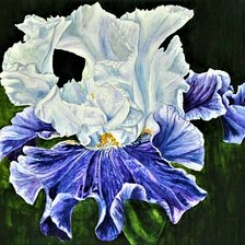 Cross stitch pattern: #1889851