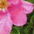 Preview of cross stitch pattern: #1890468