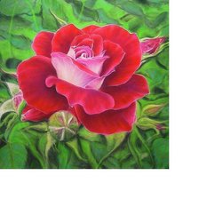 Cross stitch pattern: #1891074