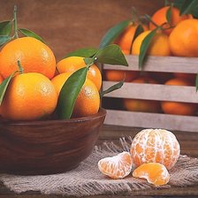 Cross stitch pattern: #1891857