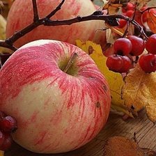 Cross stitch pattern: #1892063