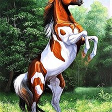 Cross stitch pattern: #1892154
