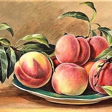 Cross stitch pattern: #1892157