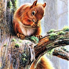 Cross stitch pattern: #1892178