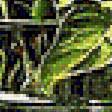 Preview of cross stitch pattern: #1892217