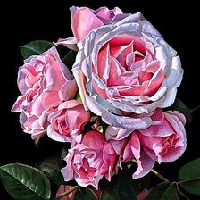 Cross stitch pattern: #1892219