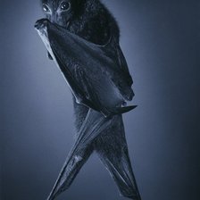 Cross stitch pattern: #1893675