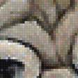 Preview of cross stitch pattern: #1893790