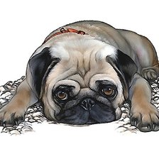 Cross stitch pattern: #1893790