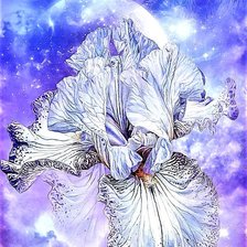 Cross stitch pattern: #1893999
