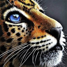 Cross stitch pattern: #1894224