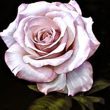 Cross stitch pattern: #1894227