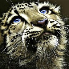 Cross stitch pattern: #1894236