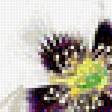 Preview of cross stitch pattern: #1894425
