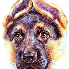Cross stitch pattern: #1894814