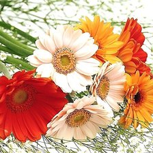 Cross stitch pattern: #1895228