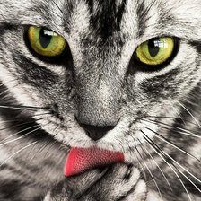 Cross stitch pattern: #1895824