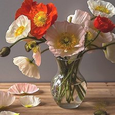 Cross stitch pattern: #1896332