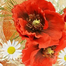 Cross stitch pattern: #1896421