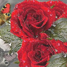 Cross stitch pattern: #1896849