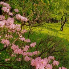 Cross stitch pattern: #1896990