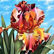 Cross stitch pattern: #1897092