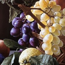 Cross stitch pattern: #1897453